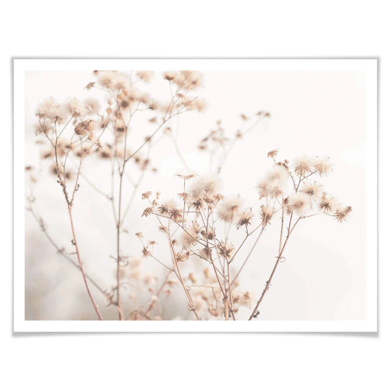 Poster i pastellfärger 