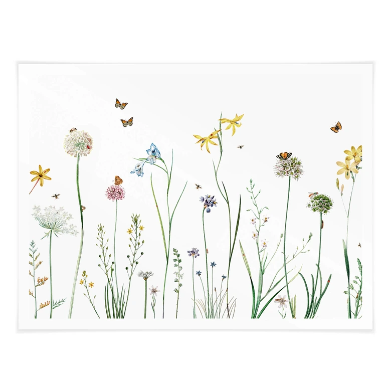 Poster Sir Edward - Schmetterlingswiese 