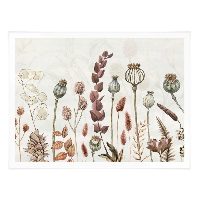 Poster Sir Edward - Trockenblumen Weiss 