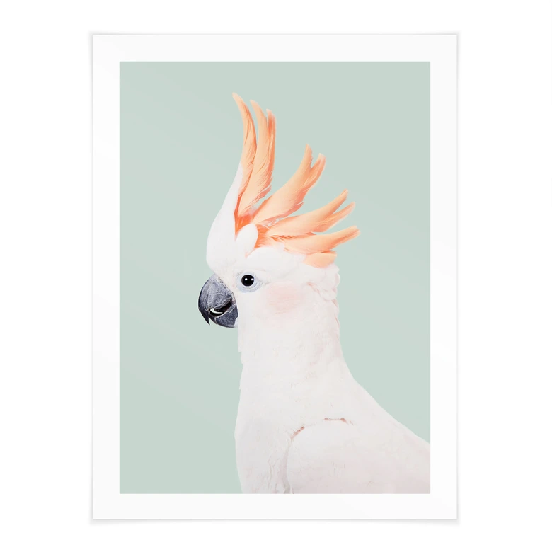 Póster retrato animal cacatúa rosa - Sisi & Seb 
