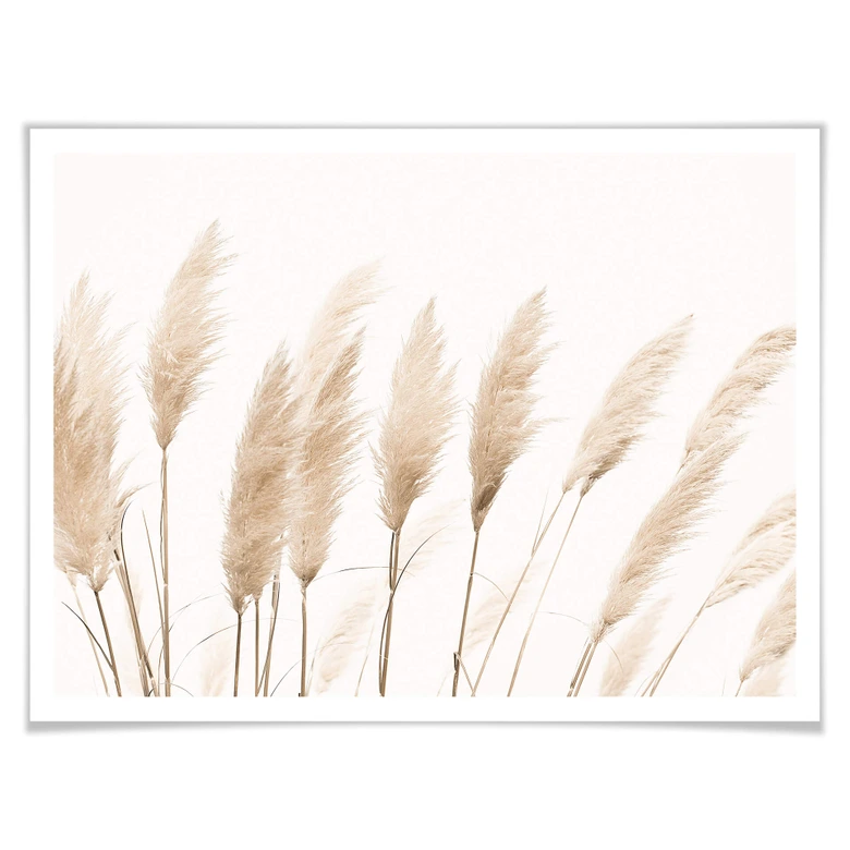 Poster Sisi & Seb - Pampas 