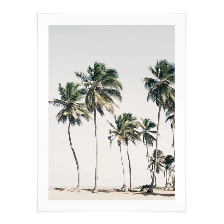 Poster Palmiers tropicaux sur la plage | L'ambiance des îles en été - Sisi & Seb 