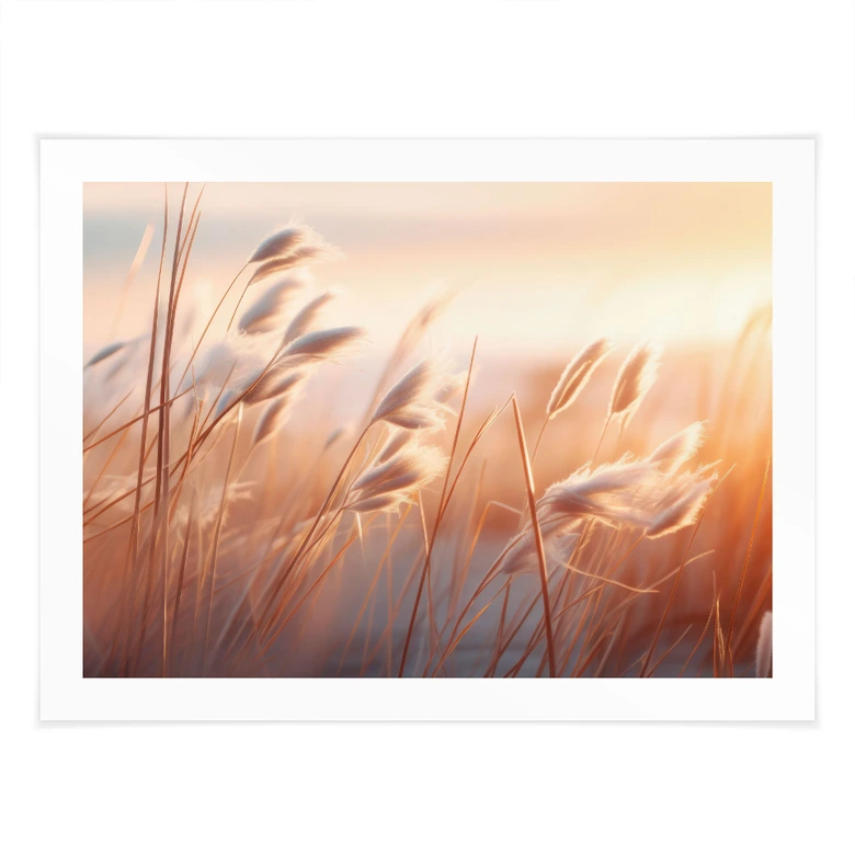 Poster Dünengras in der Abendsonne - Treechild 
