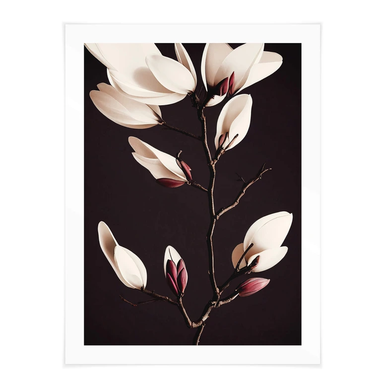 Poster Edle Magnolienblüten - Blumenposter - Treechild 