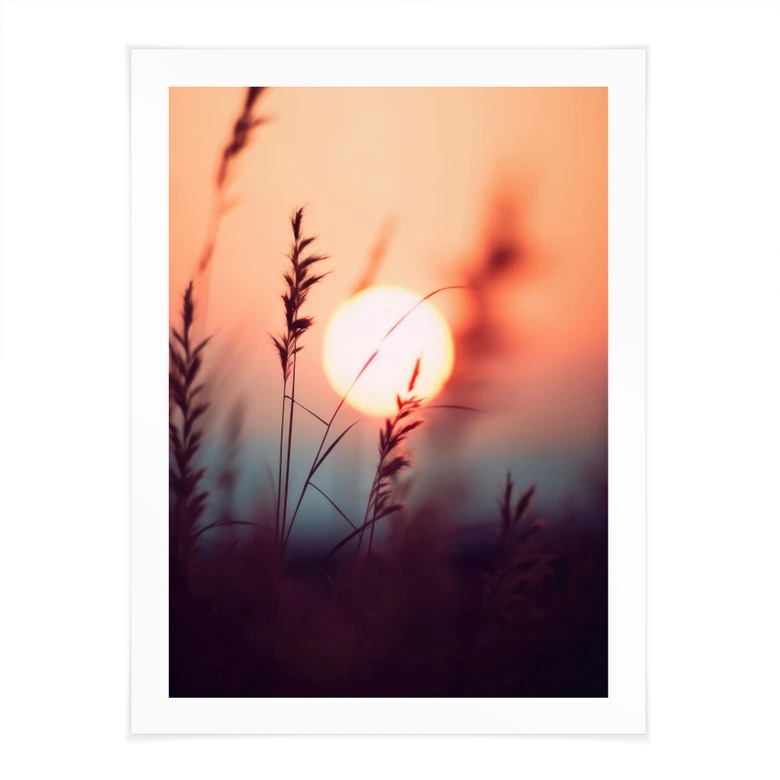 Poster Herbes sous la lumière d'un soleil de plomb - Treechild 
