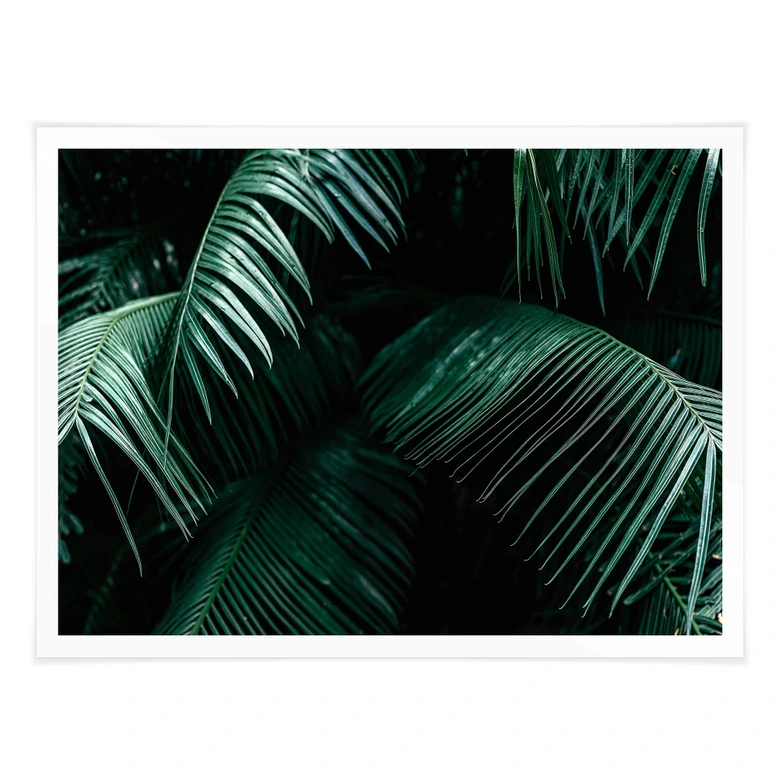 Poster Botanique tropicale 