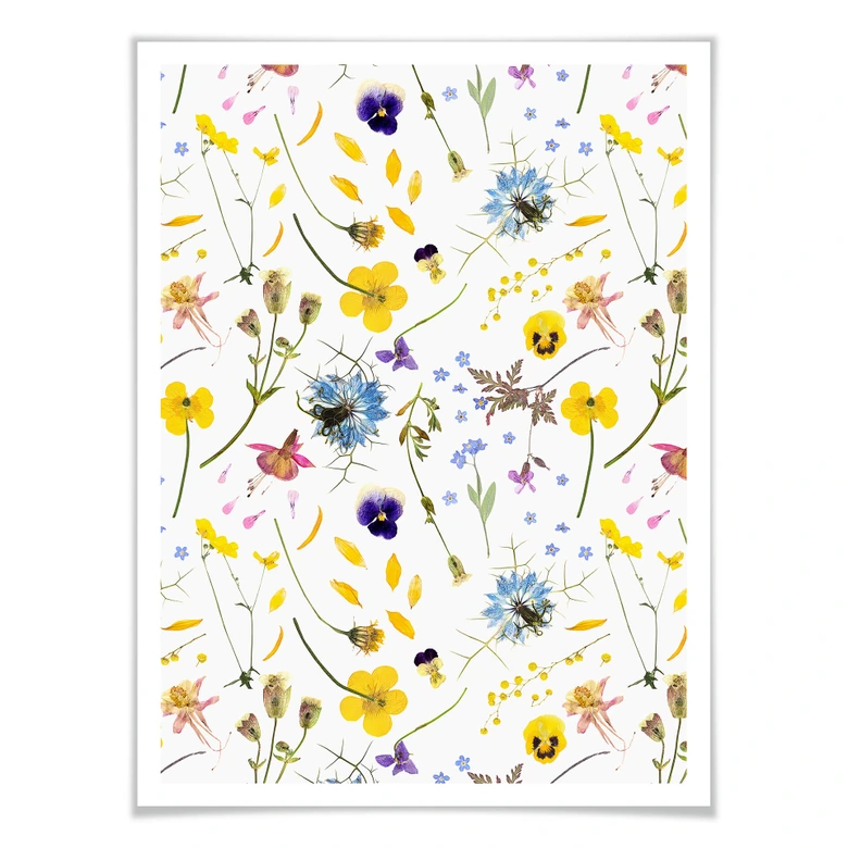 Póster Diseños ONU - Flores secas 