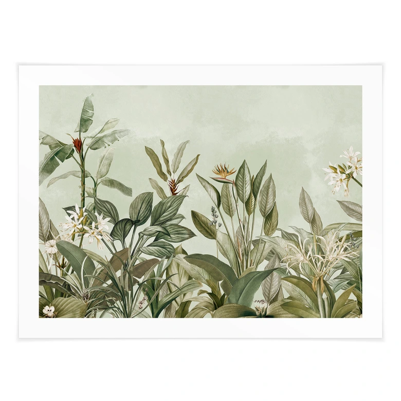 Poster Tropische plantkunde - UN Designs 