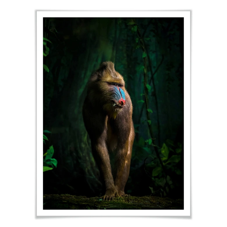 Poster Yunta - Im Dschungel 