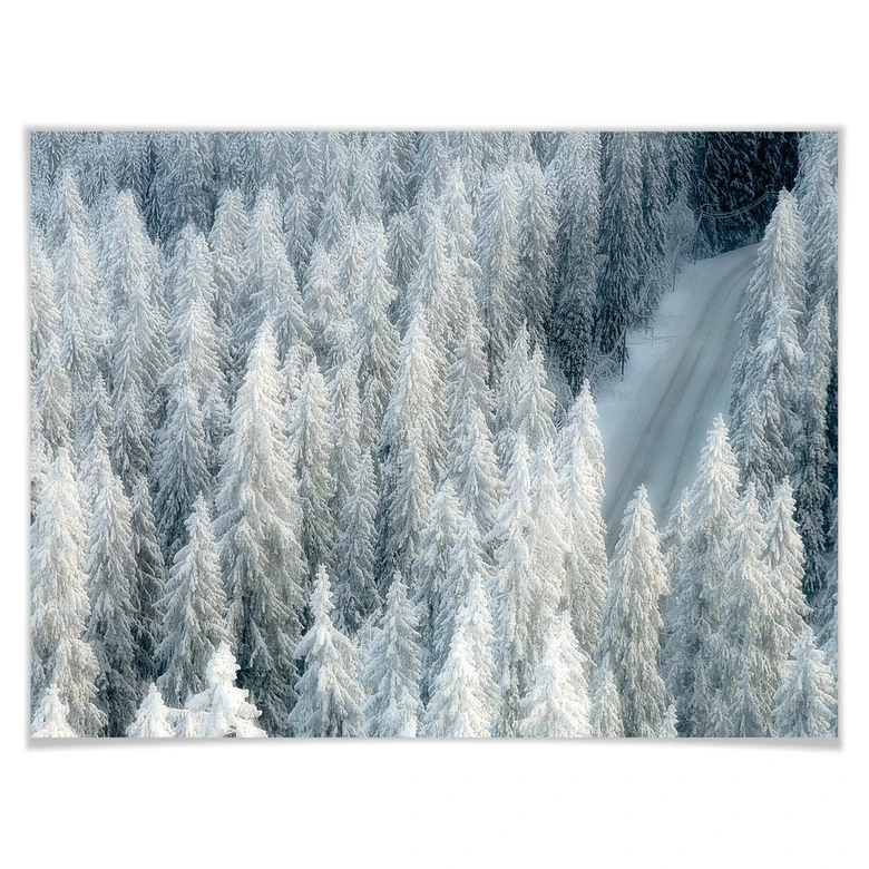 Poster Kalliolahti - Weisser Winter 