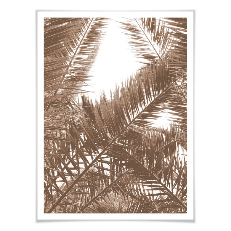 Poster Phoenixpalme 