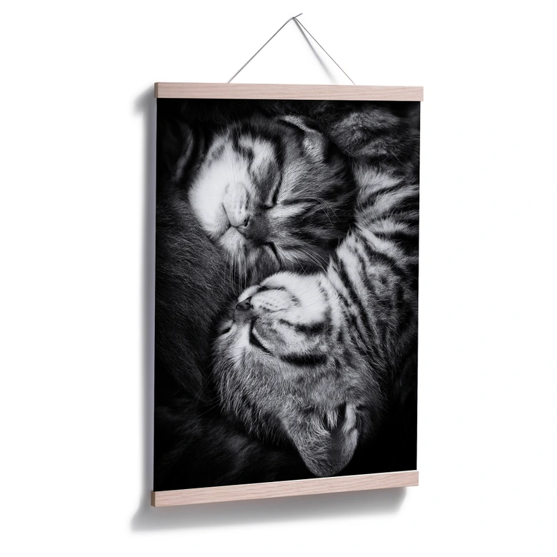 Poster Jancova - Sweet Kitten 