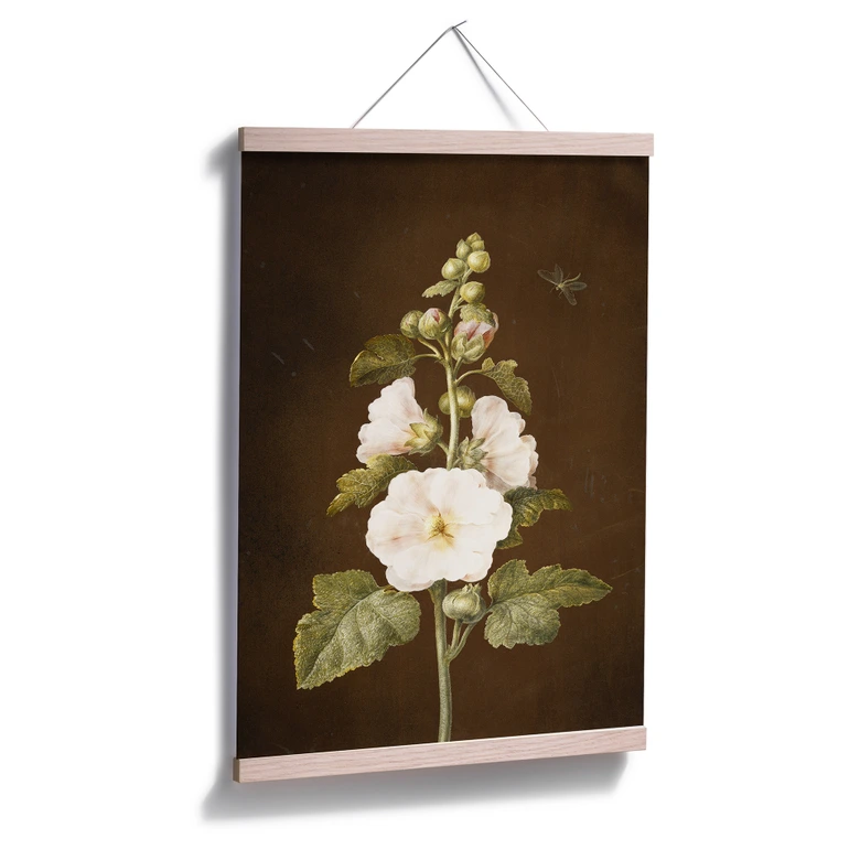 Poster Dietzsch - Stockrose 