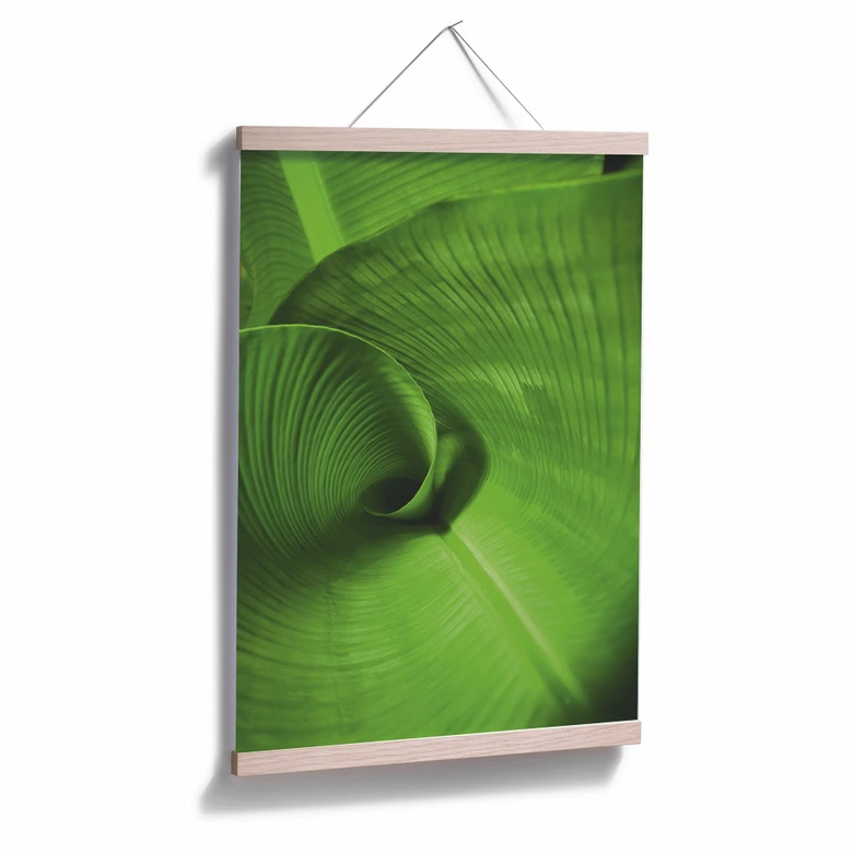 Poster Bananenblatt 