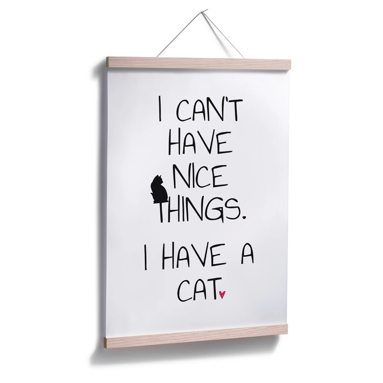 Poster I can't have nice Things - Cat 