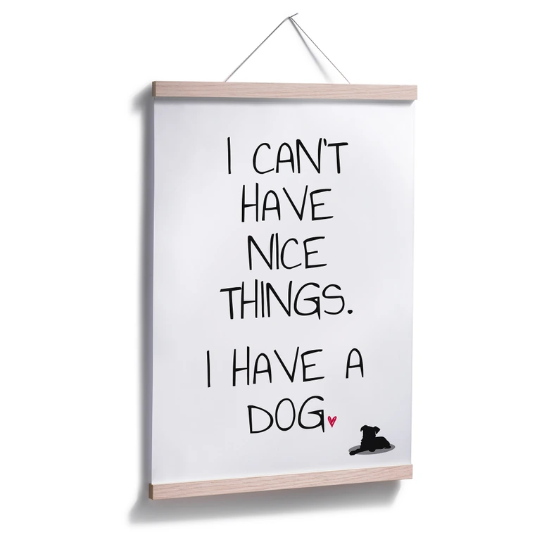 Poster I can\'t have nice Things - Dog 