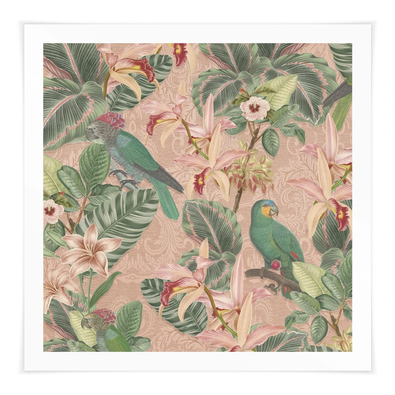 Póster Botánica Jungla con Loros Rosa - Decoración Floral - Cuadrado 