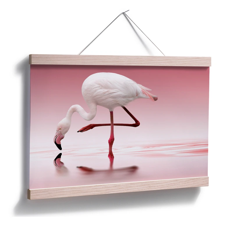 Poster Reindl - Pink Flamingo 