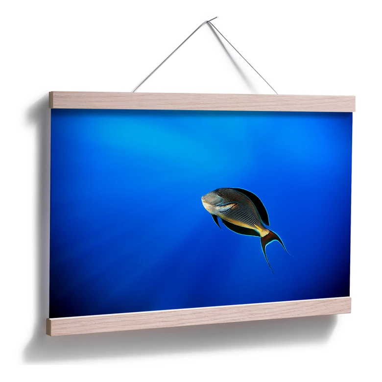 Poster Catta - Deep Ocean 