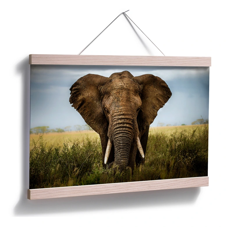 Poster Ghizzi-Panizza - Begegnungen in der Savanne 