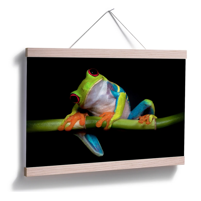 Poster Valverde - Green Frog 