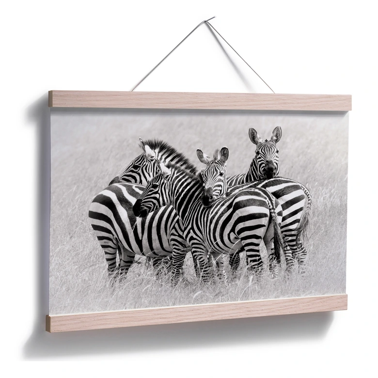 Poster Trubitsyn - Zebras in der Savanne 