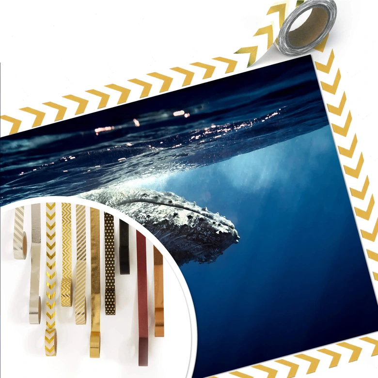Poster humpback whale on dive 