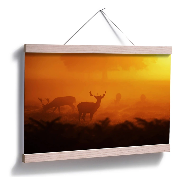 Poster Hert met zonsondergang 