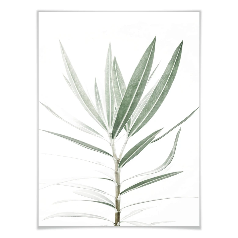 Poster Sisi & Seb - Oleander 