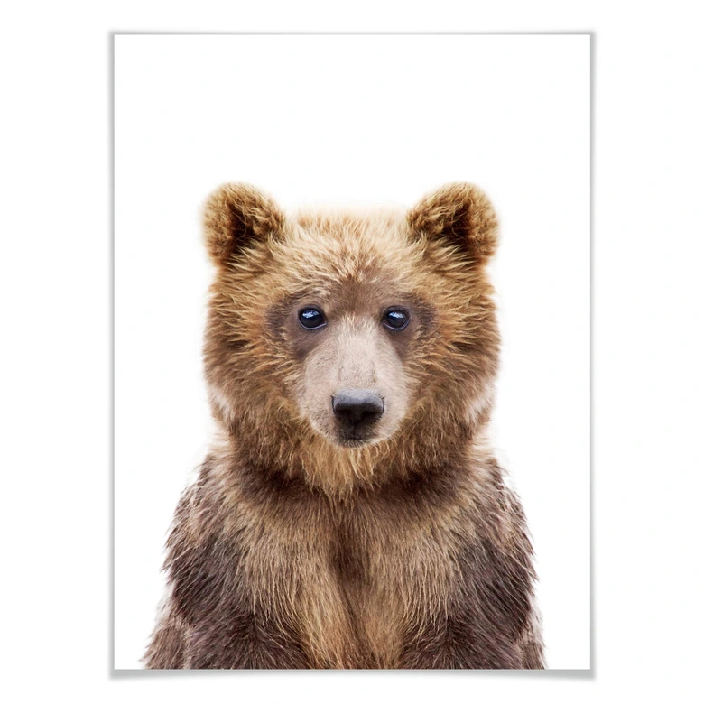 Poster Sisi & Seb - Bärenjunges 