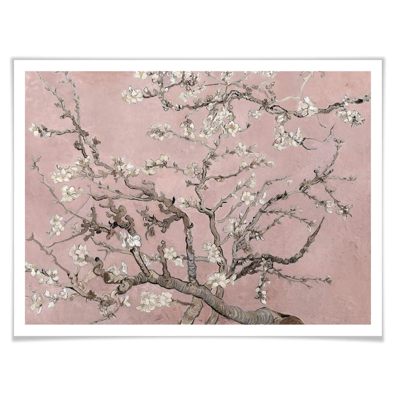 Poster van Gogh - Amandier en fleurs Rosé 