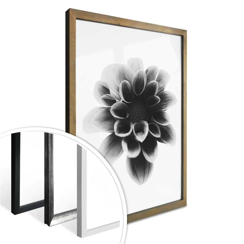 Poster Grønkjær - Dahlia 