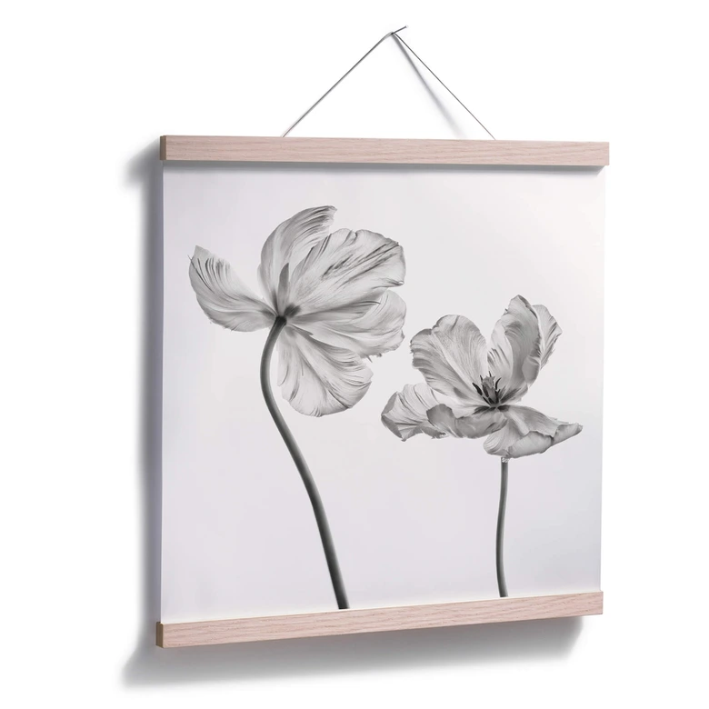 Poster Grønkjær - Tulpenblüte 