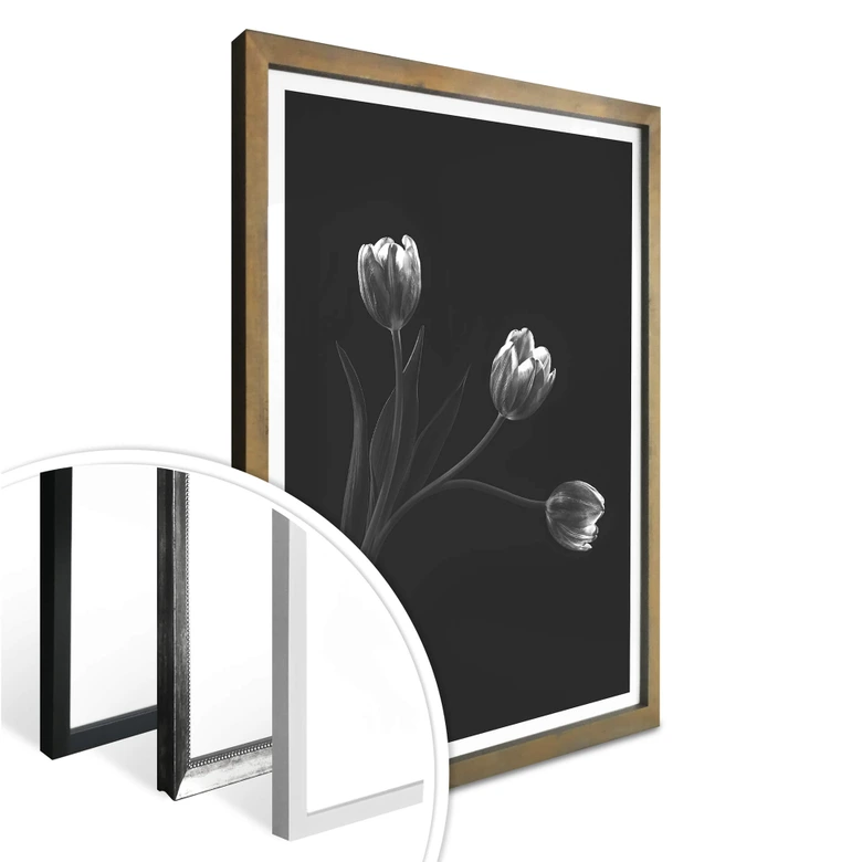 Poster Pan - Tulpentrio 