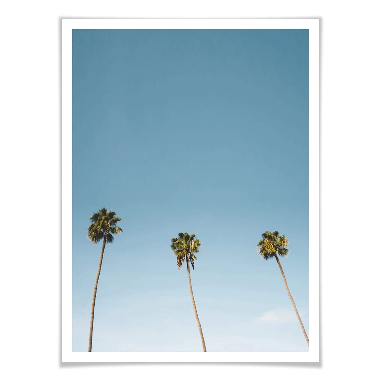 Poster Palm Trees 02 