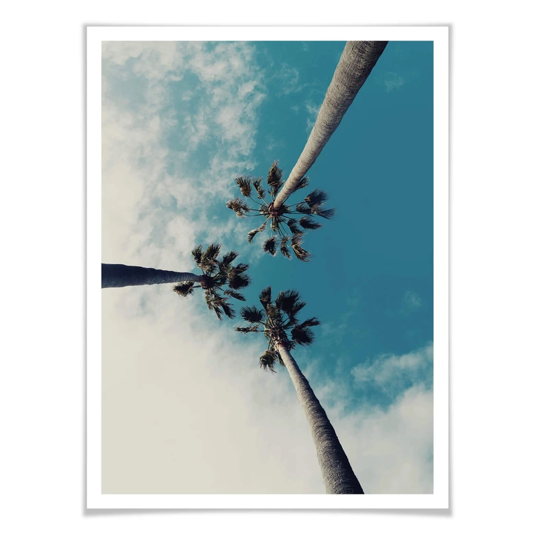 Poster Palm Trees 03 