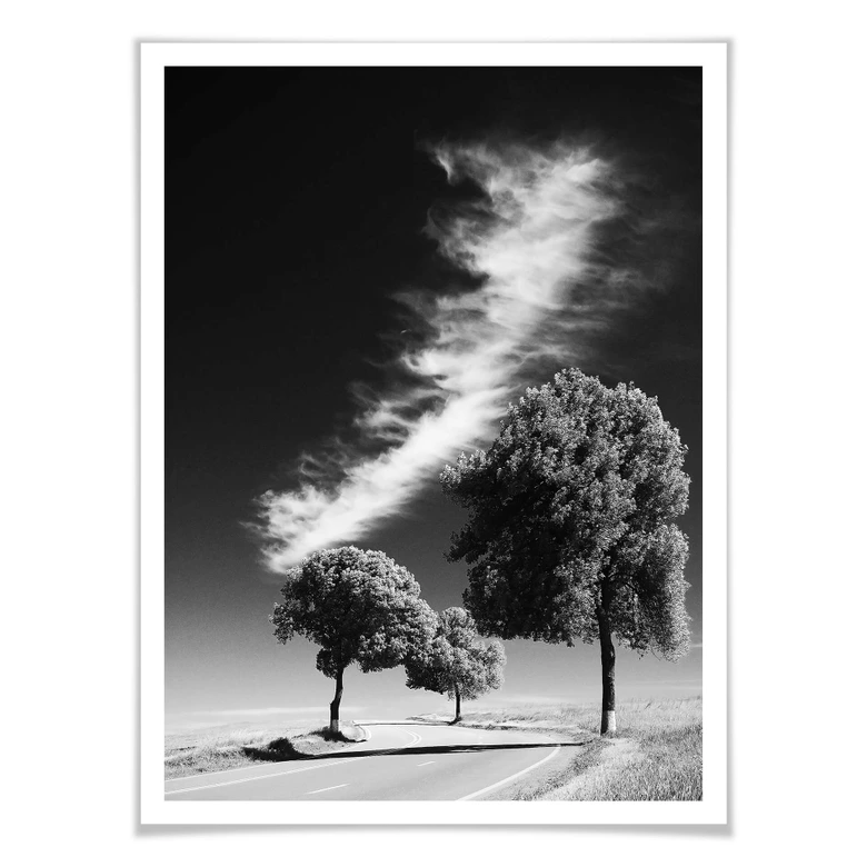 Póster Revestimientos de plata 