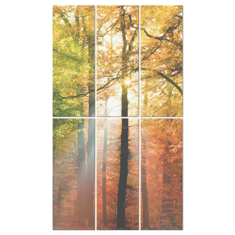 Raumteiler, Paravent, Sichtschutz hängend Goldener Herbst Wald 