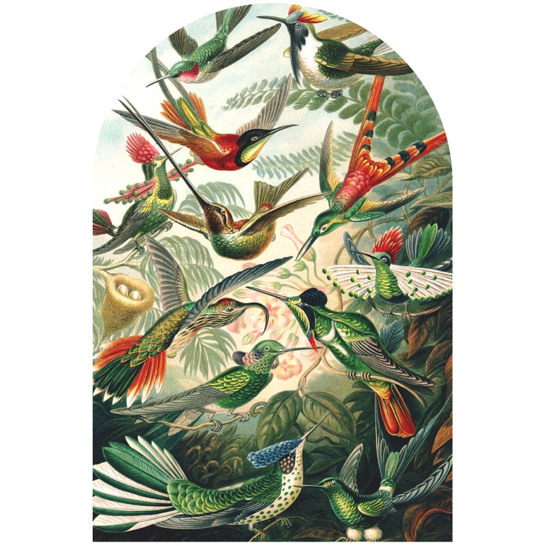 Wandtattoo Rundbogen Wandpaneel Kolibris - Haeckel - breit 
