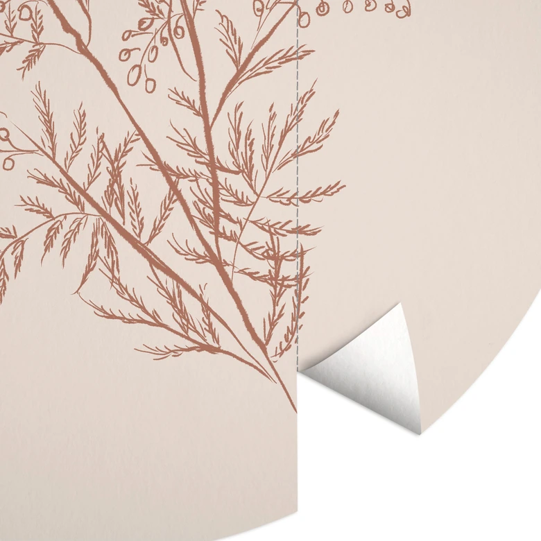 Tak van acacia in mokkakleur | Botanicals Fotobehang - anijs illustratie - rond - vliesbehang/zelfklevend vliesbehang 