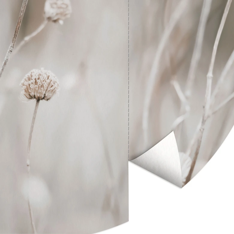 Papier peint fleurs séchées dans des tons doux - Annie - rond - papier peint intissé/papier peint intissé autocollant 