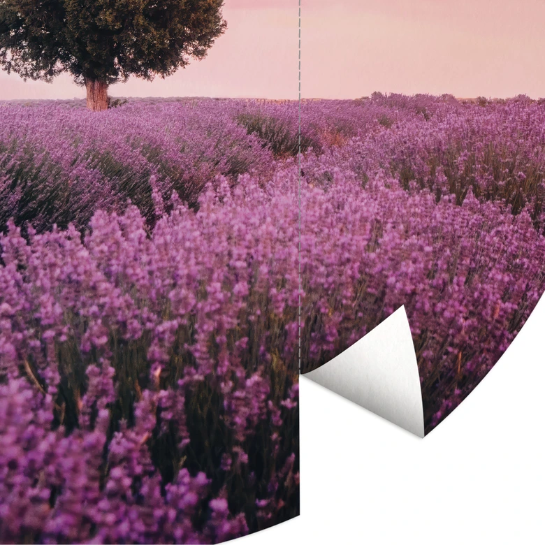 Fototapete Lila Lavendelfelder bei Sonnenuntergang - Cevik - Rund - Selbstklebend/Vlies 