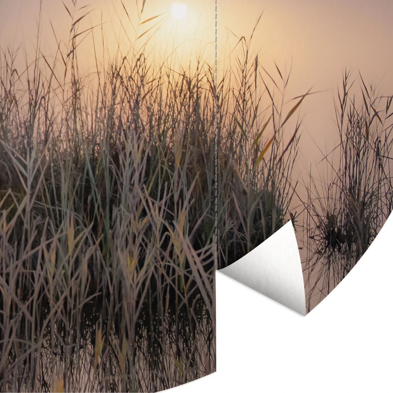 Wall mural Misty fall day | nature photography for the living room - Eisenmann - Round - non self-adhesive/self-adhesive wallpapers 