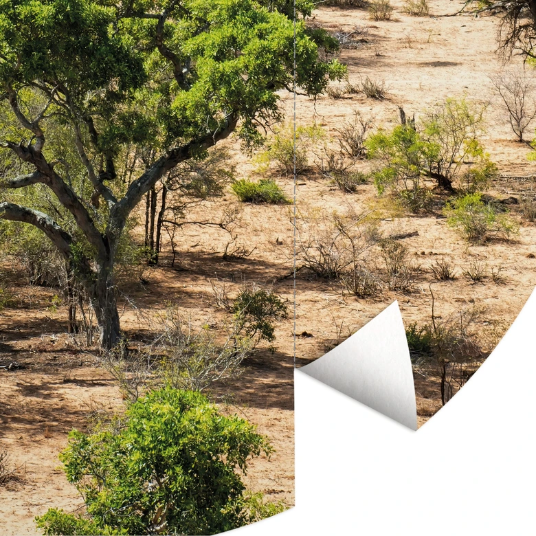 Fototapete Savannenlandschaft in Afrika - Hugonnard - Rund - Selbstklebend/Vlies 