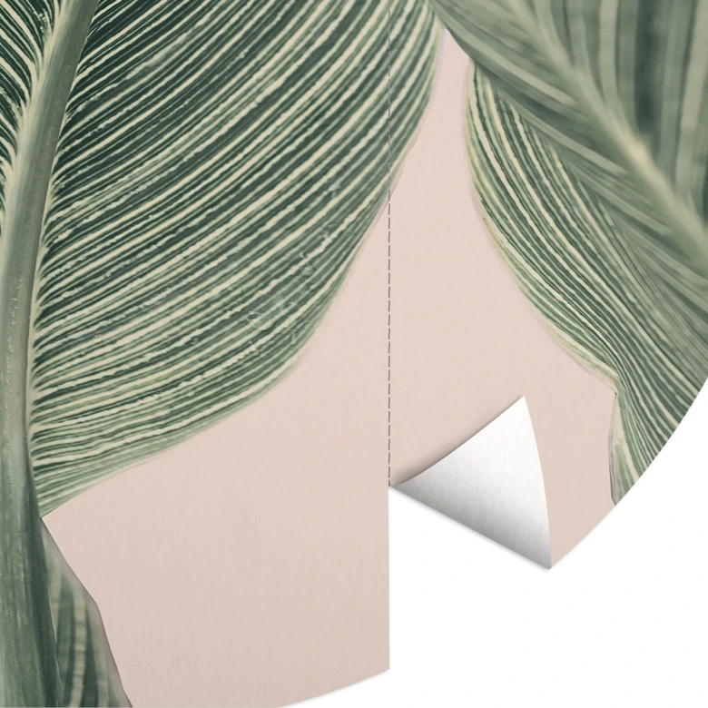 Papier peint photo rond Plante Calathea - Sisi & Seb - papier peint intissé/papier peint intissé autocollant 
