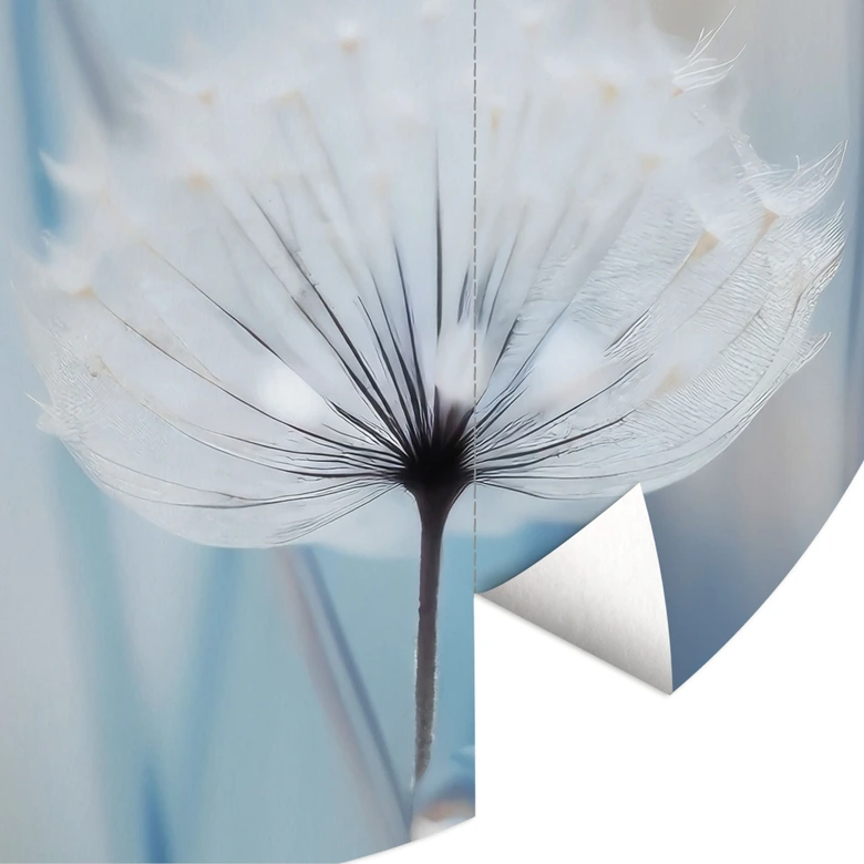 Fototapete Tauperlen auf Pusteblumen - Treechild - Rund - Selbstklebend/Vlies 