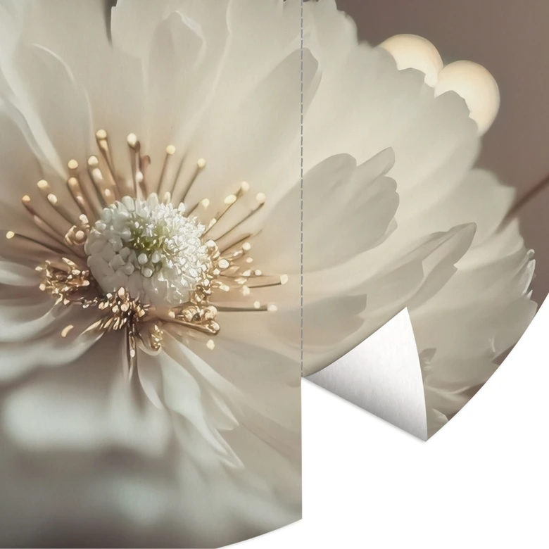Wall Mural White Flowers with Gold Dust - Treechild - Round - Self-adhesive/non-woven 
