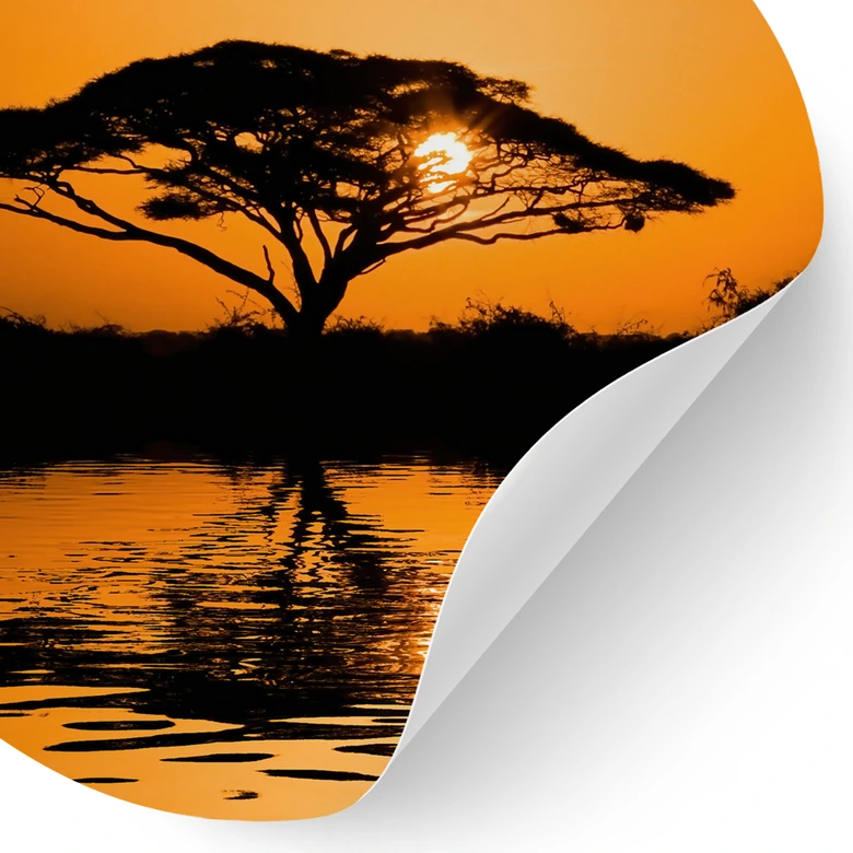 Wandtattoo Afrika | Landschaft beim Sonnenuntergang - Rund 