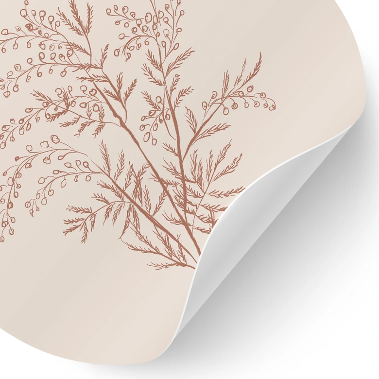 Wandtattoo Zweig der Akazie in Mokkafarben - Anis Illustration - Rund 