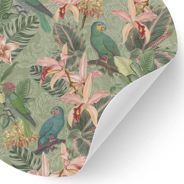 Wandtattoo Dschungel mit Papageien Grün - Bloomery Decor - Rund 